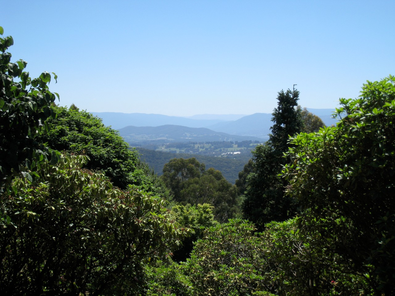 Mount Dandenong Victoria